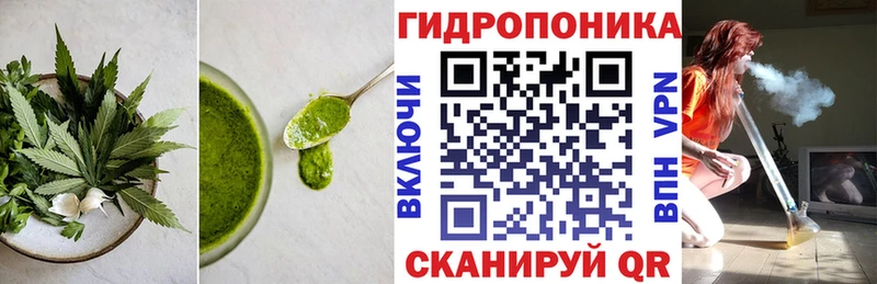 хочу наркоту  Чудово  Cannafood марихуана 