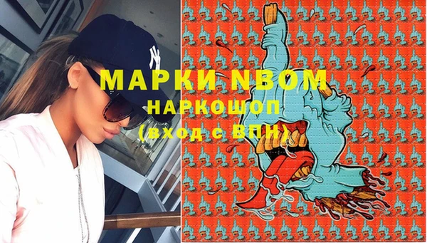 прущие грибы Беломорск