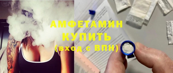 прущие грибы Беломорск