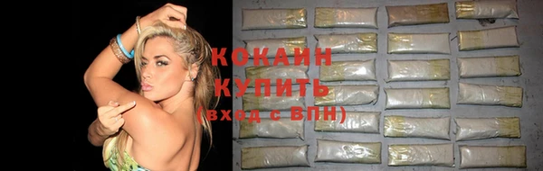 прущие грибы Беломорск