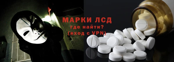 прущие грибы Беломорск