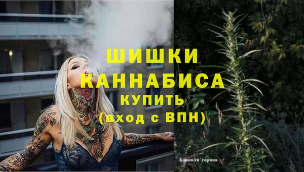 прущие грибы Беломорск