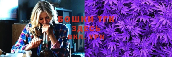 прущие грибы Беломорск