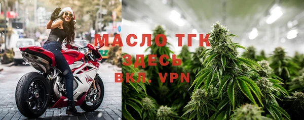 прущие грибы Беломорск