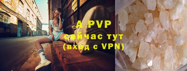 прущие грибы Беломорск