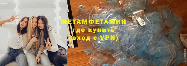 прущие грибы Беломорск