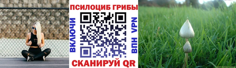 Псилоцибиновые грибы прущие грибы  Чудово 